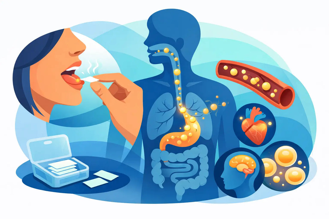 How Do Oral Vitamin Strips Work in the Body?