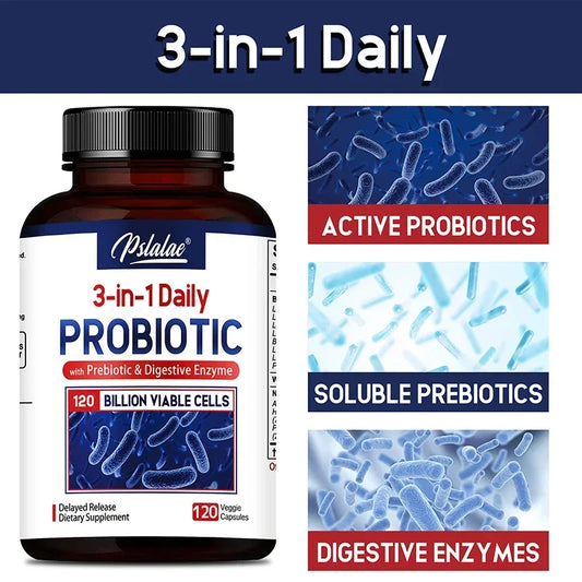 Probiotics + Prebiotics + Digestive Enzymes - Promote Intestinal Flora Digestive Health Women & Men Provide Lasting Energy