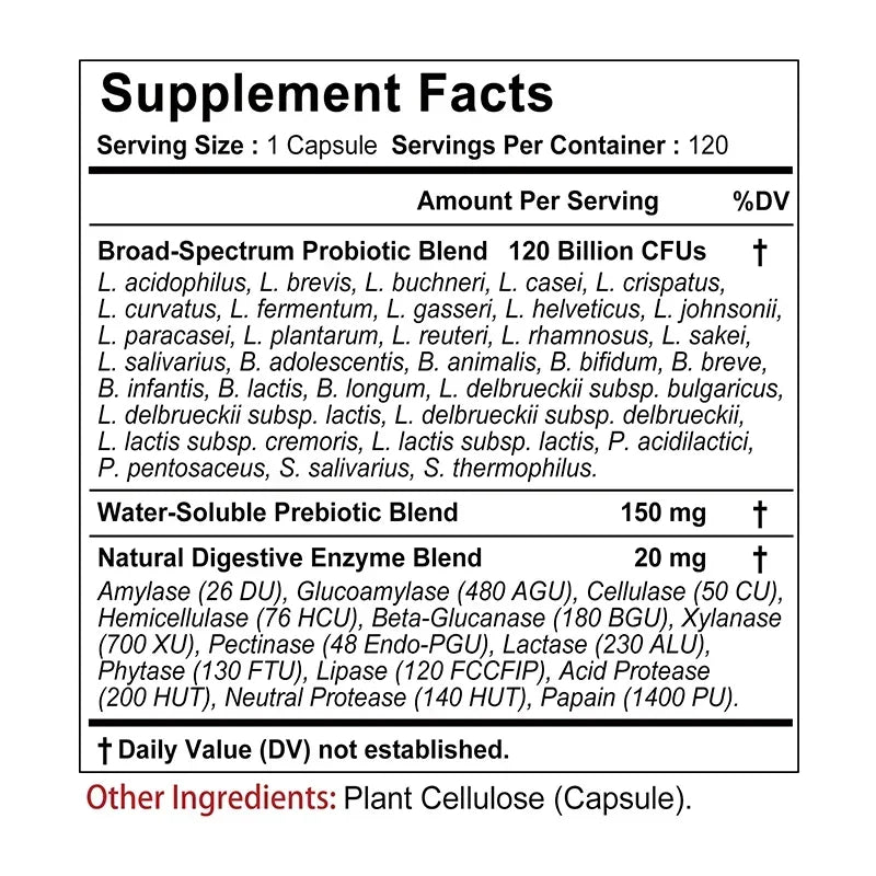 Probiotics + Prebiotics + Digestive Enzymes - Promote Intestinal Flora Digestive Health Women & Men Provide Lasting Energy